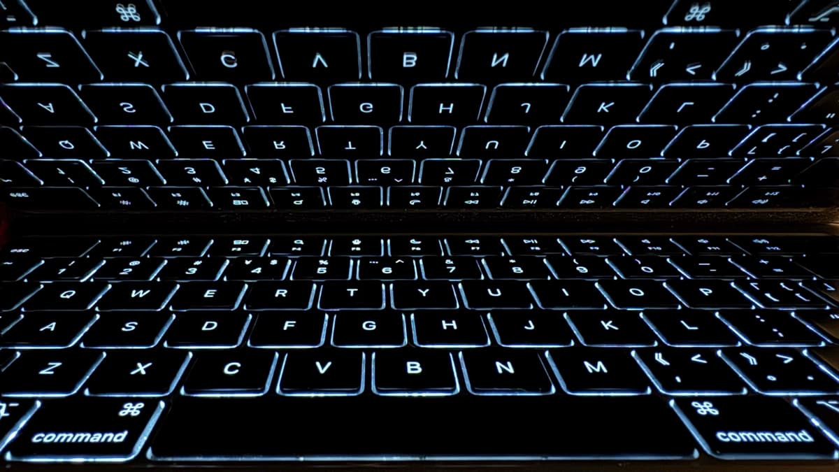 单位会员 和 个人会员