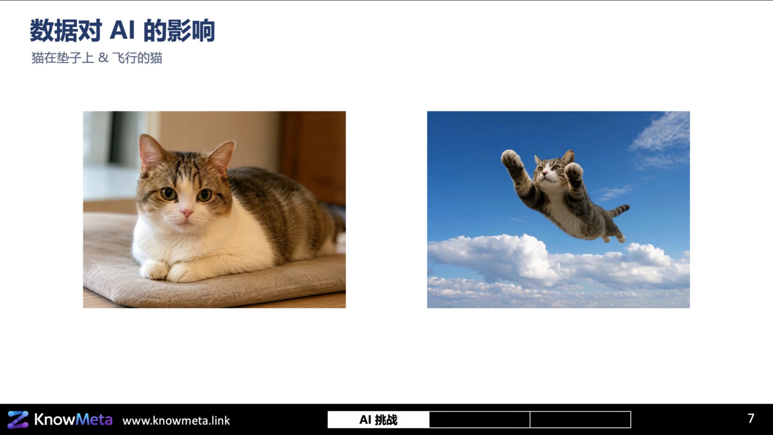 工程知识中的对象、关系与事实